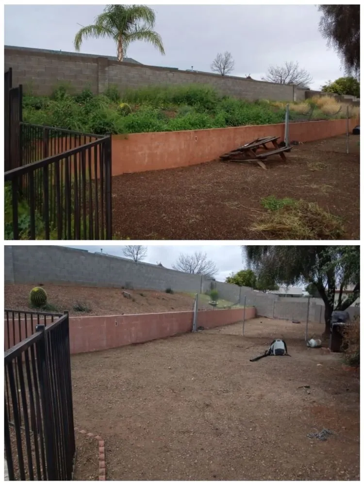 Professional residential landscaping for homes in Tucson, AZ by Moses Landscaping