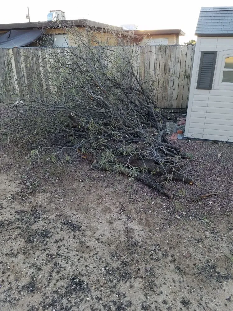 Custom landscape installation in Tucson, AZ - Moses Landscaping