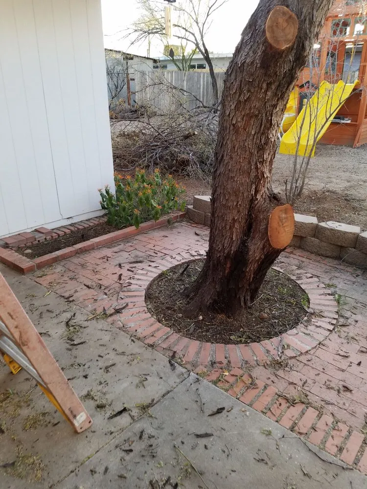 Reliable outdoor landscaping in Tucson, AZ - Moses Landscaping