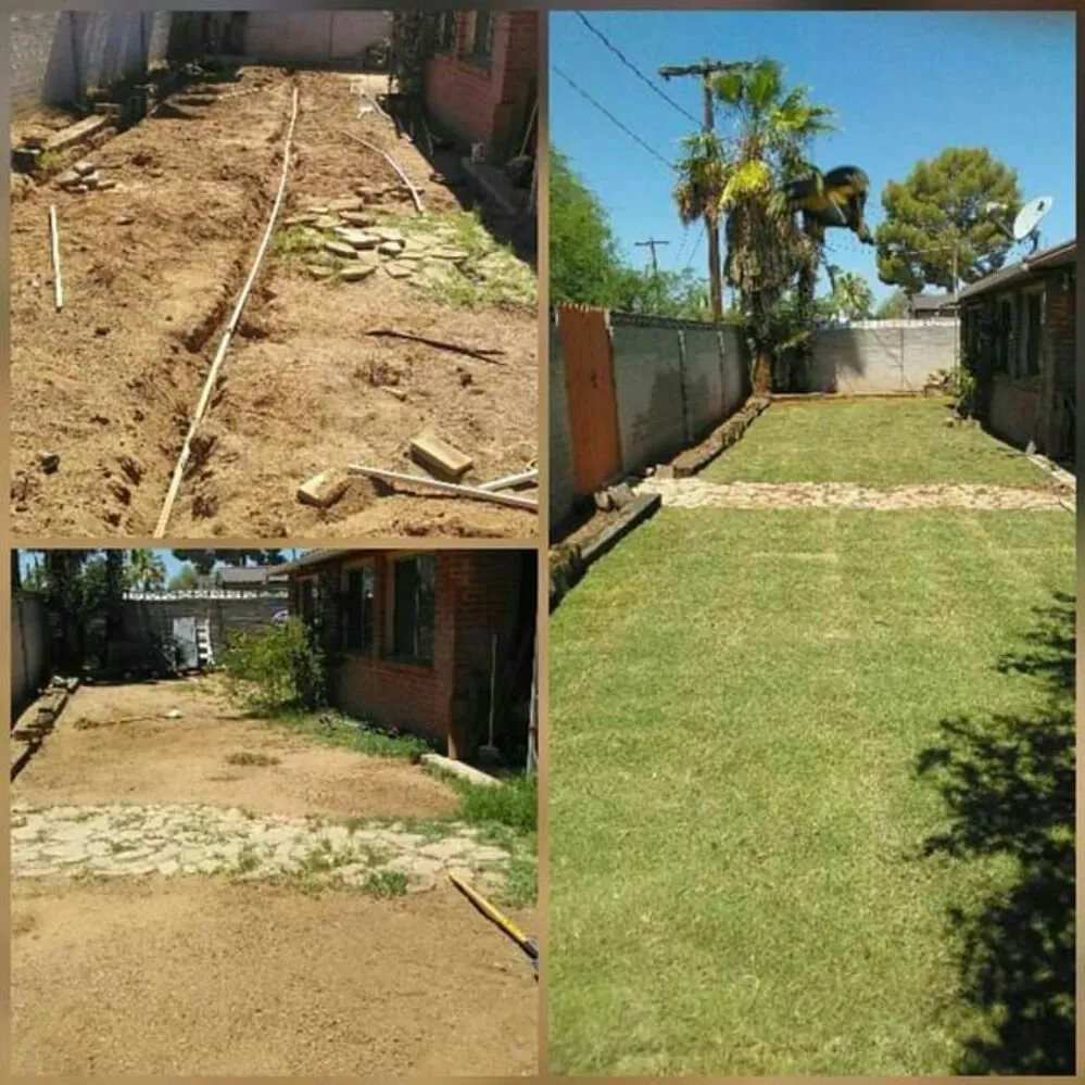 Expert yard maintenance in Tucson, AZ by Moses Landscaping