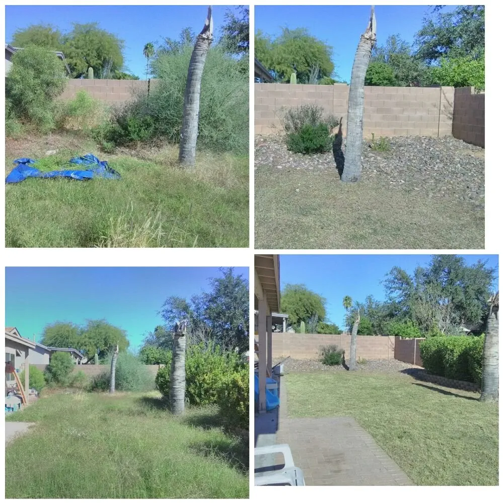 Affordable yard maintenance for residential properties in Tucson, AZ by Moses Landscaping