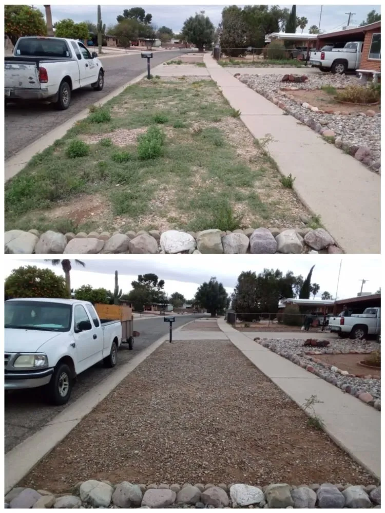 Trusted yard maintenance in Tucson, AZ by Moses Landscaping