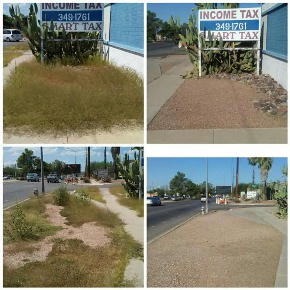 Top-rated landscaping services for homes in Tucson, AZ by Moses Landscaping