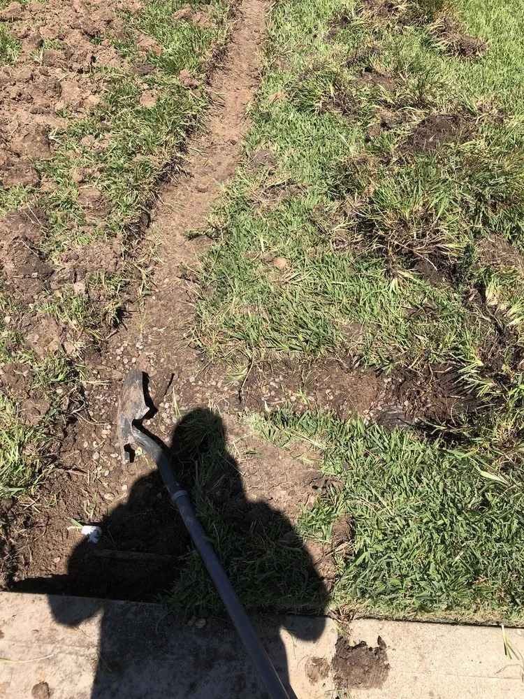 Top-rated outdoor landscaping for year-round maintenance in Houston, TX by Moses Pool, Spa & Landscaping