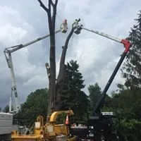 Custom landscaping services in Fenton, MI - Mosher Tree Service