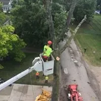 Expert outdoor landscaping in Fenton, MI - Mosher Tree Service