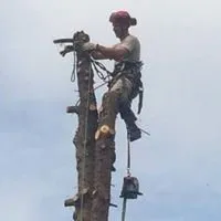 Expert yard cleanup service in Fenton, MI - Mosher Tree Service