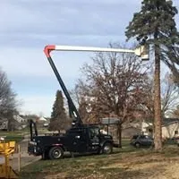 Custom landscape installation with custom design in Fenton, MI by Mosher Tree Service