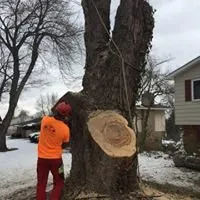 Expert residential landscaping for beautiful yards across Fenton, MI - Mosher Tree Service