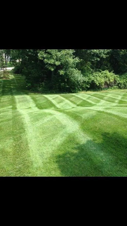 Local garden landscaping for outdoor upgrades in Fenton, MI by Mosher Tree Service