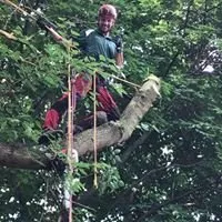 Affordable outdoor landscaping experts serving Fenton, MI - Mosher Tree Service