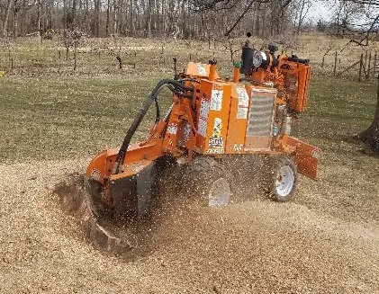 Mosher Tree Service Logo