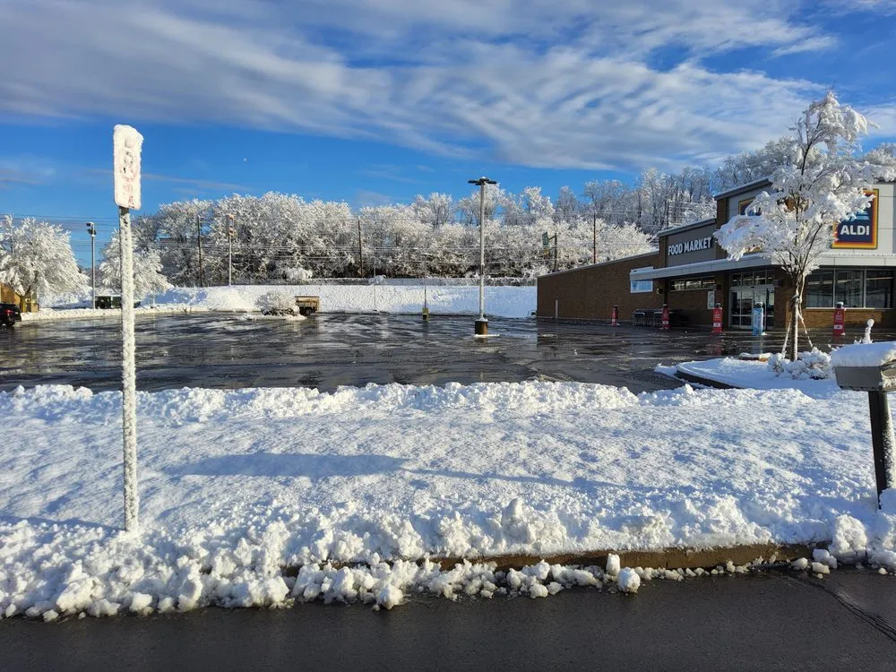 Top-rated garden landscaping experts serving Cogan Station, PA - Mosier Lawn & Snow