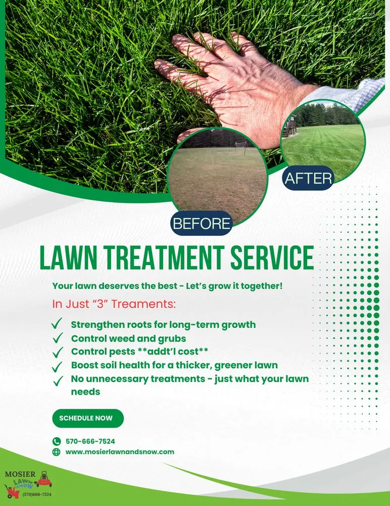 Top-rated outdoor landscaping in Cogan Station, PA - Mosier Lawn & Snow