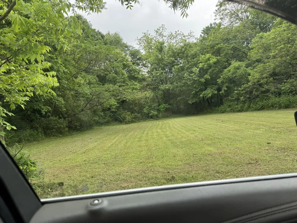 Professional yard cleanup service in Athens, AL by Mosley Lawn Care