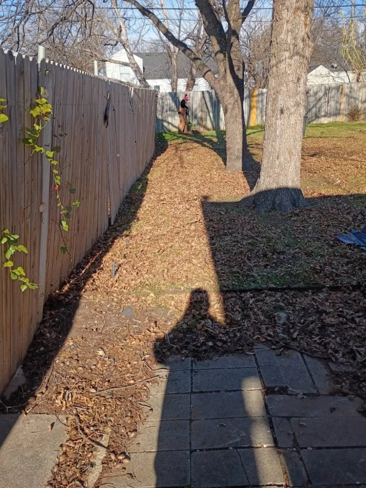 Local lawn mowing service in Lawton, OK - Mosley Mows