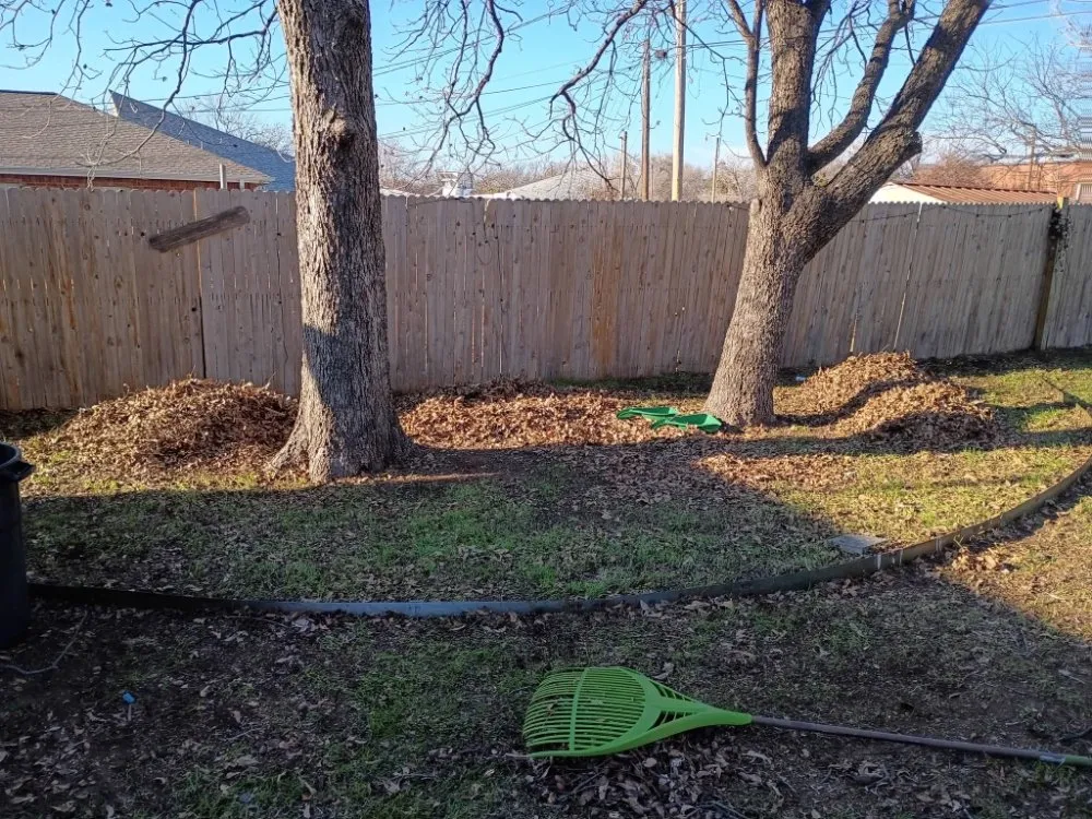 Local lawn mowing service in Lawton, OK - Mosley Mows