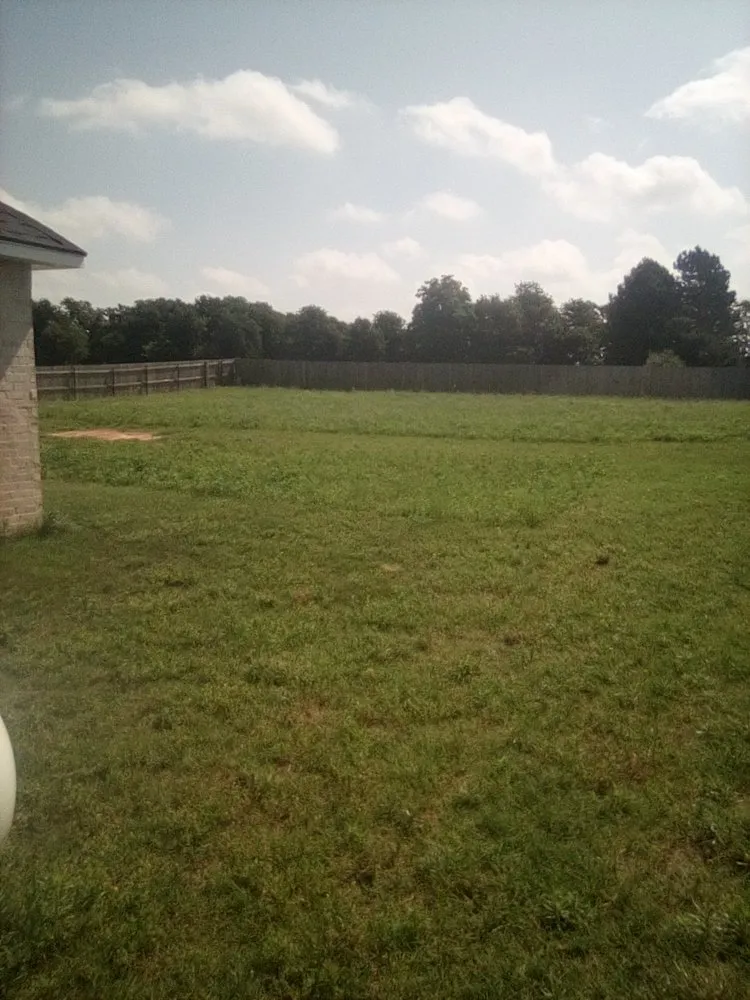 Top-rated landscape design for year-round maintenance across Lawton, OK - Mosley Mows