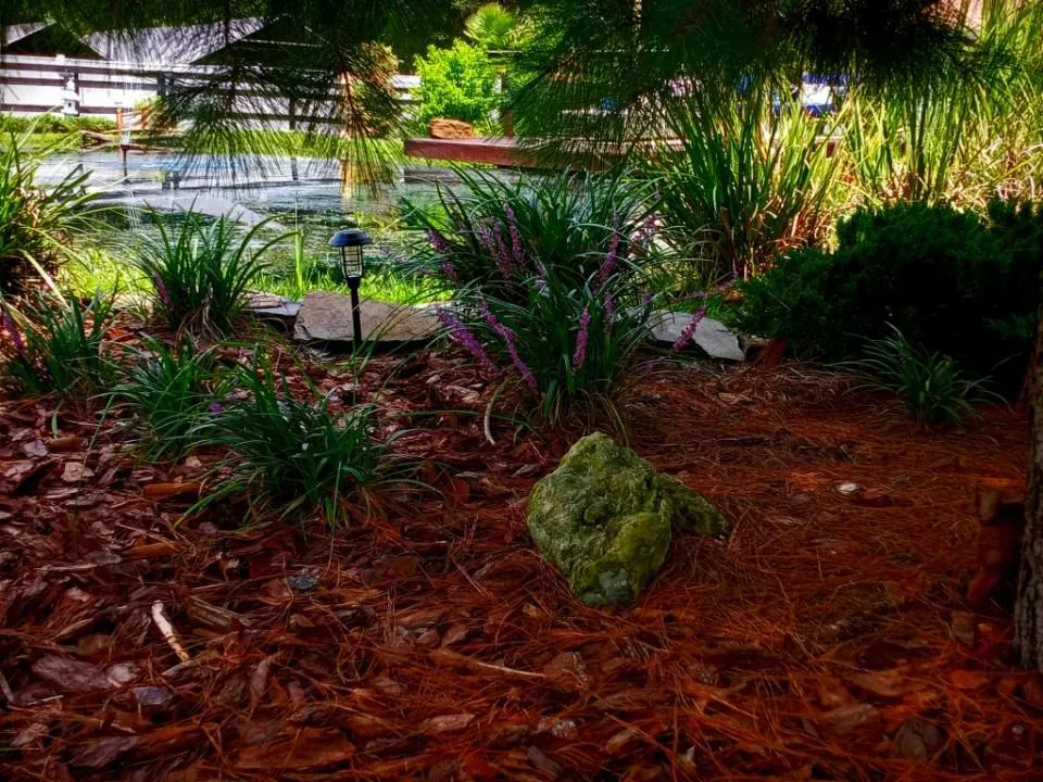 Top-rated lawn mowing service for homes in Ocala, FL by Mosley Property Improvements