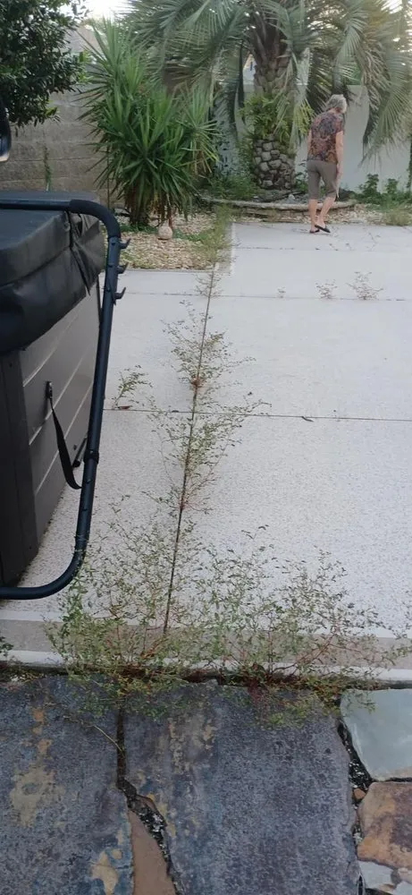 Trusted yard maintenance in Ocala, FL by Mosley Property Improvements