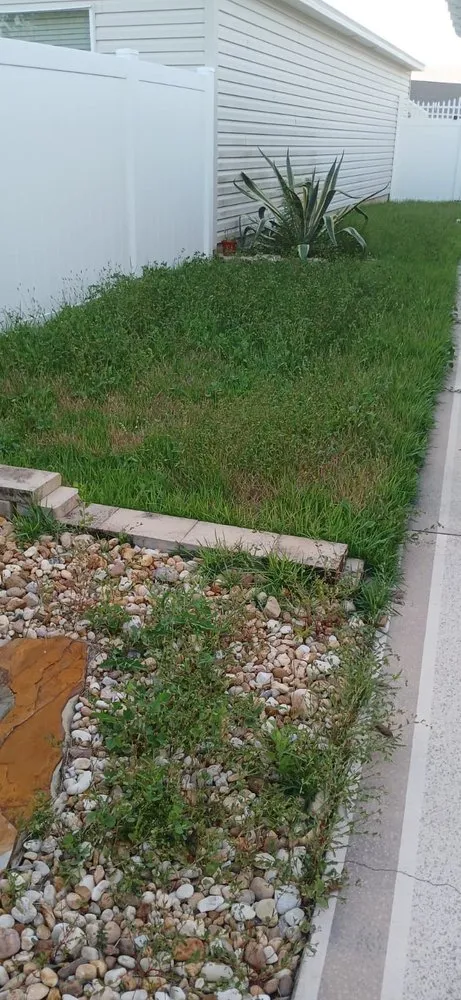 Top-rated lawn care service in Ocala, FL - Mosley Property Improvements