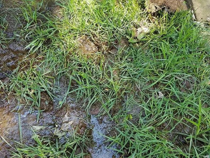 Expert garden landscaping for year-round maintenance across Lincoln, NE - Mosley Yardworks