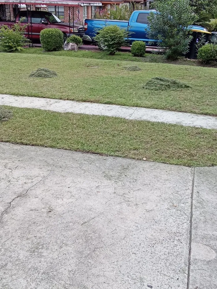 Local garden landscaping experts serving Savannah, GA - Mosley's Lawn and Pressure Washing Service