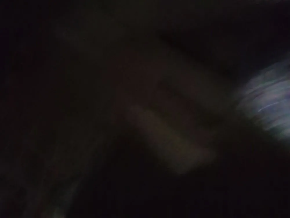 Affordable residential landscaping in Savannah, GA - Mosley's Lawn and Pressure Washing Service