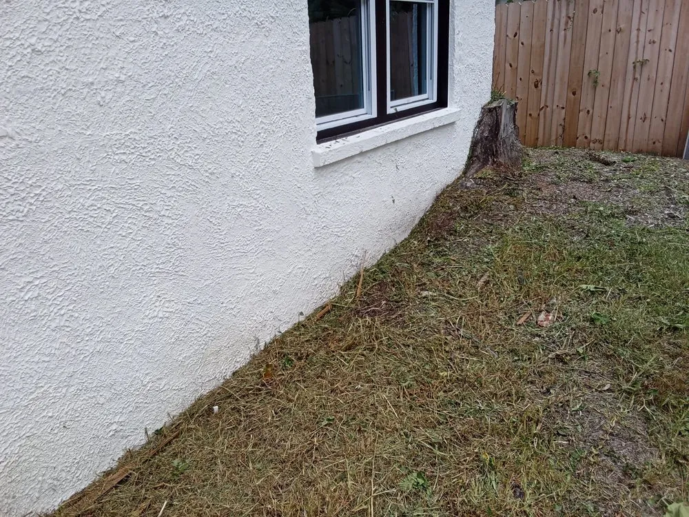 Professional yard cleanup service in Savannah, GA - Mosley's Lawn and Pressure Washing Service