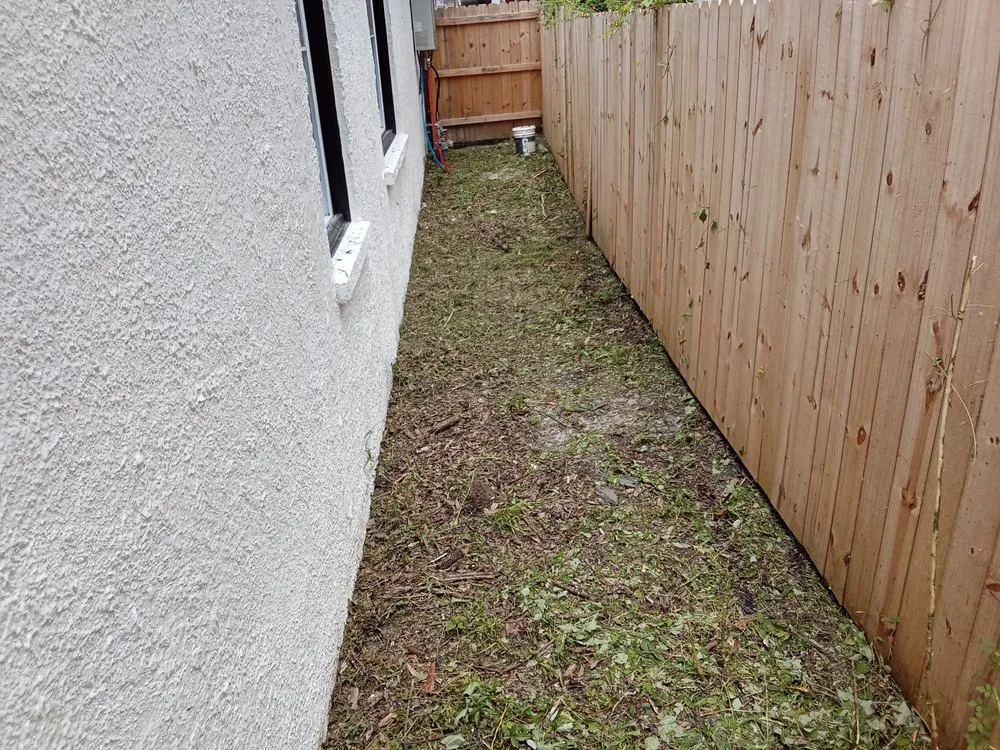 Expert yard maintenance in Savannah, GA by Mosley's Lawn and Pressure Washing Service