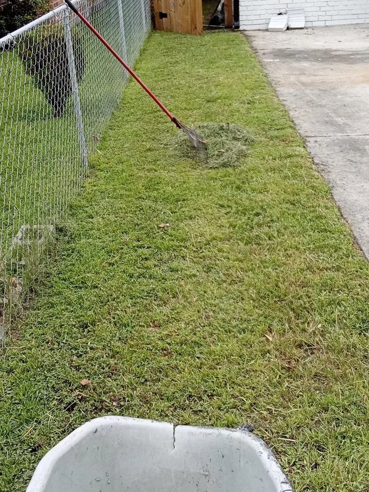 Trusted landscape design in Savannah, GA - Mosley's Lawn and Pressure Washing Service