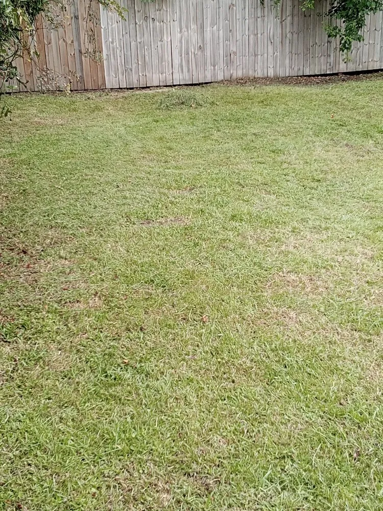 Custom landscape design experts serving Savannah, GA - Mosley's Lawn and Pressure Washing Service