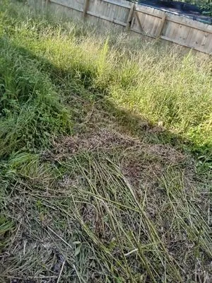 Mosley's Lawn and Pressure Washing Service Logo