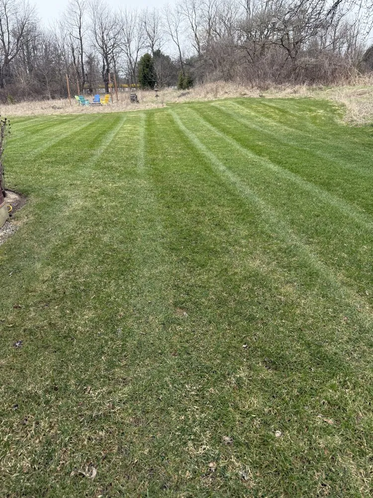 Professional landscaping services for outdoor upgrades in Livonia, MI by Mosley's Outdoor Services