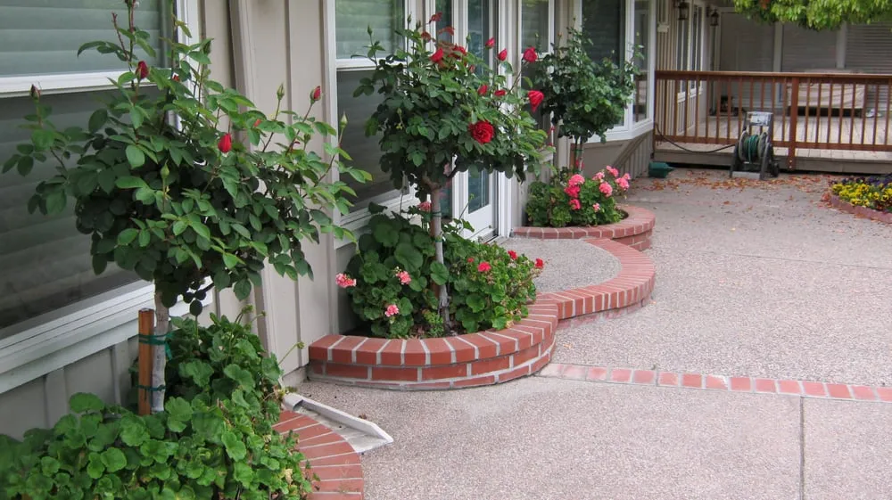 Trusted residential landscaping experts serving Pittsburg, CA - Mosqueda Landscape