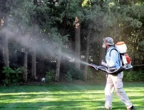 Local yard maintenance in Sioux Falls, SD - Mosquito Solutions