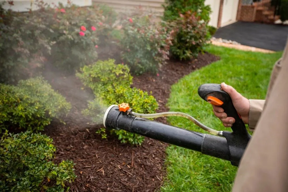 Expert yard cleanup service for year-round maintenance in Sioux Falls, SD by Mosquito Solutions