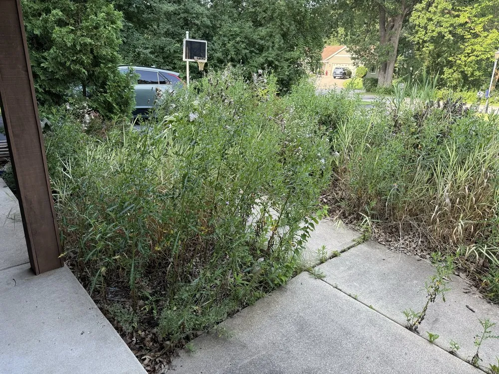 Affordable outdoor landscaping experts serving Wauwatosa, WI - Moss & Petal Lawn Care