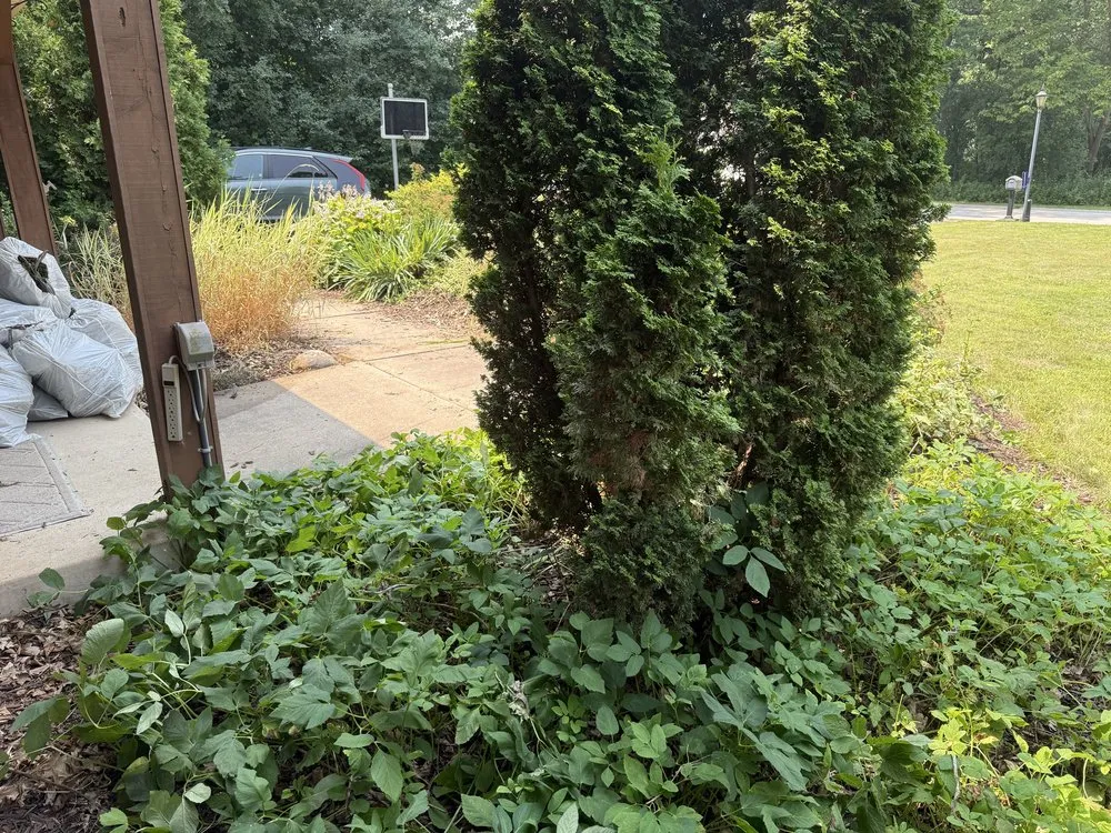 Top-rated landscaping services with custom design in Wauwatosa, WI by Moss & Petal Lawn Care