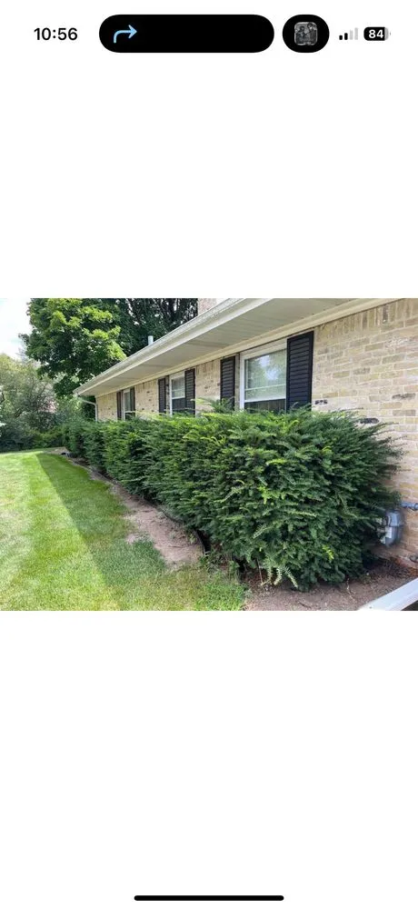 Custom yard cleanup service experts serving Wauwatosa, WI - Moss & Petal Lawn Care