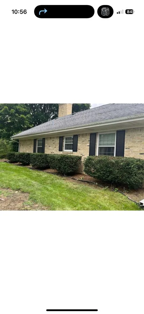 Professional yard cleanup service in Wauwatosa, WI - Moss & Petal Lawn Care