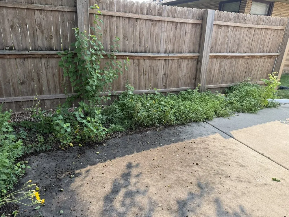 Local yard maintenance in Wauwatosa, WI by Moss & Petal Lawn Care