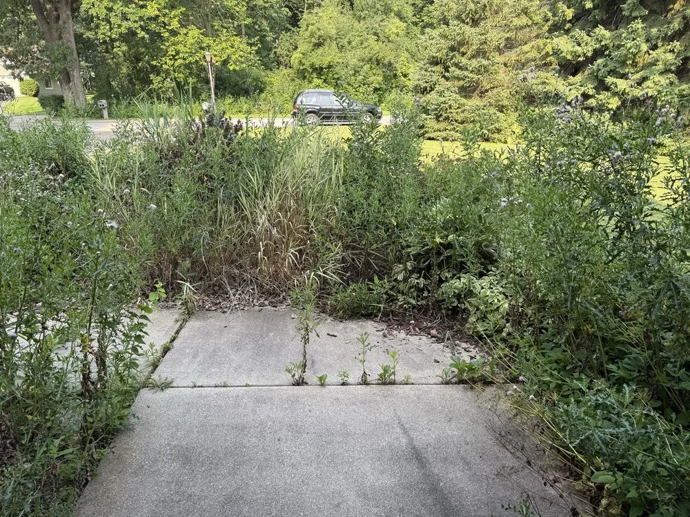 Trusted yard cleanup service for outdoor upgrades in Wauwatosa, WI by Moss & Petal Lawn Care