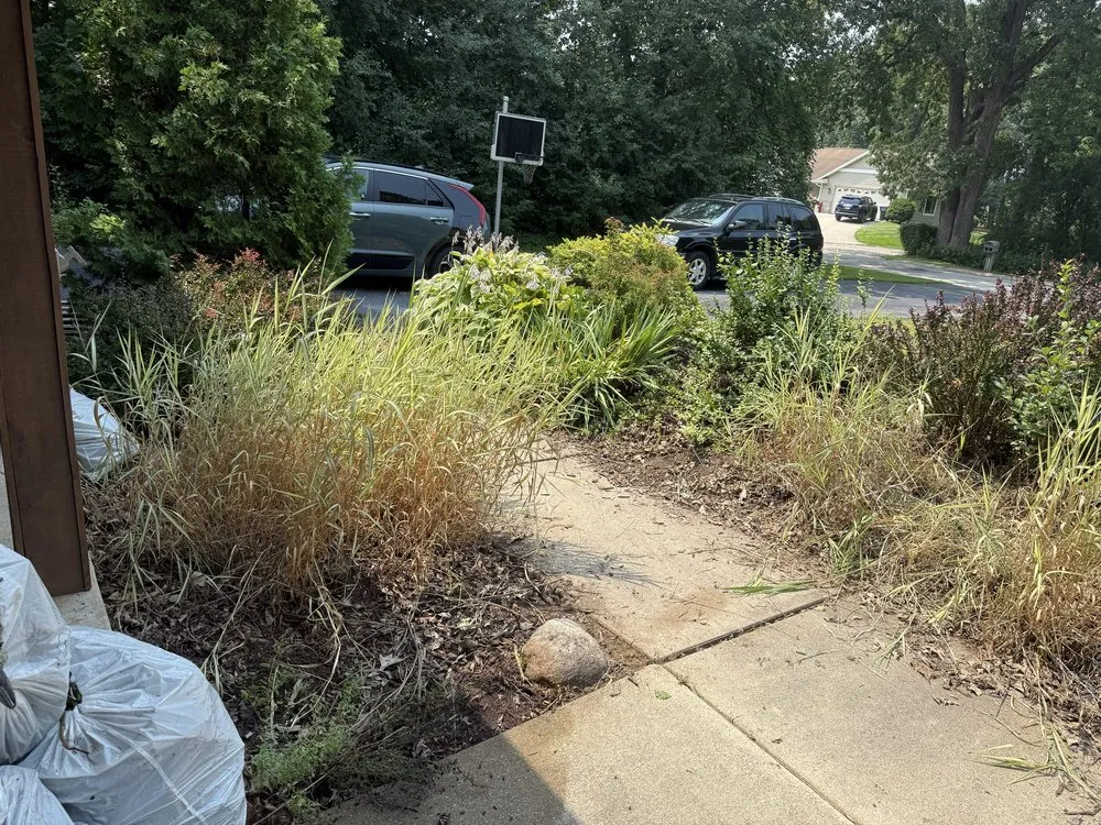 Professional outdoor landscaping experts serving Wauwatosa, WI - Moss & Petal Lawn Care