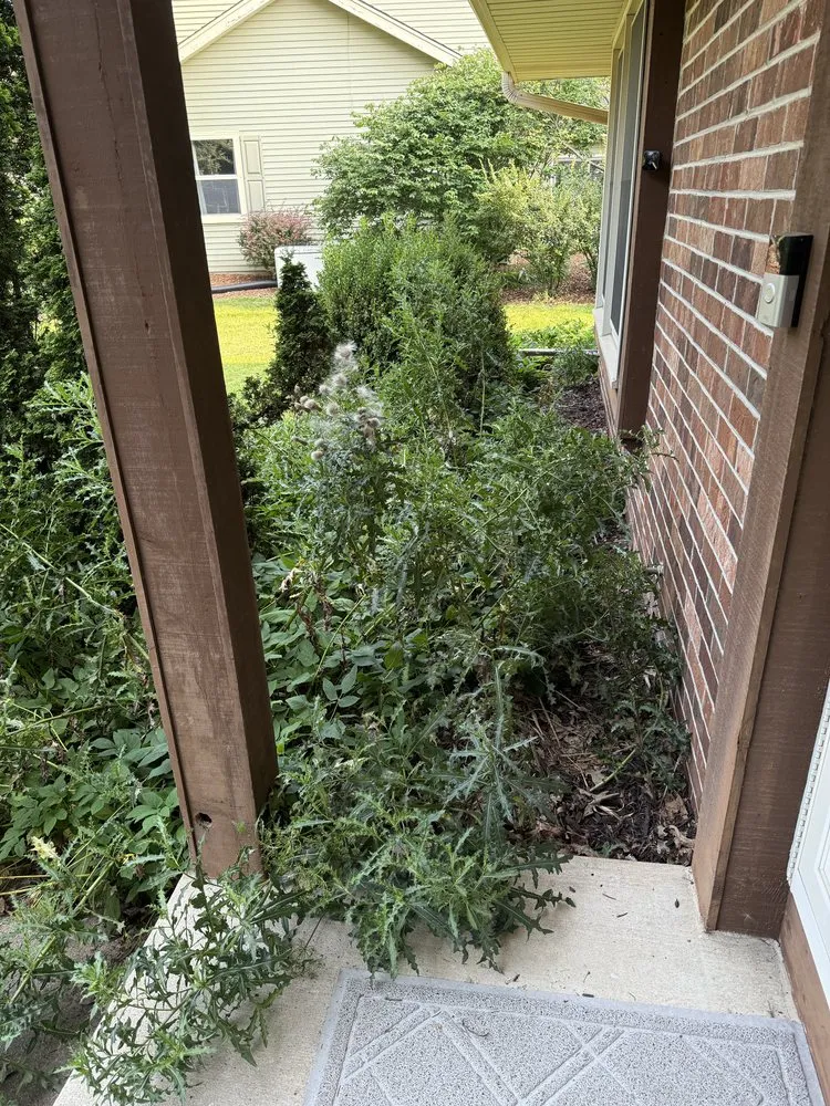 Expert outdoor landscaping in Wauwatosa, WI - Moss & Petal Lawn Care