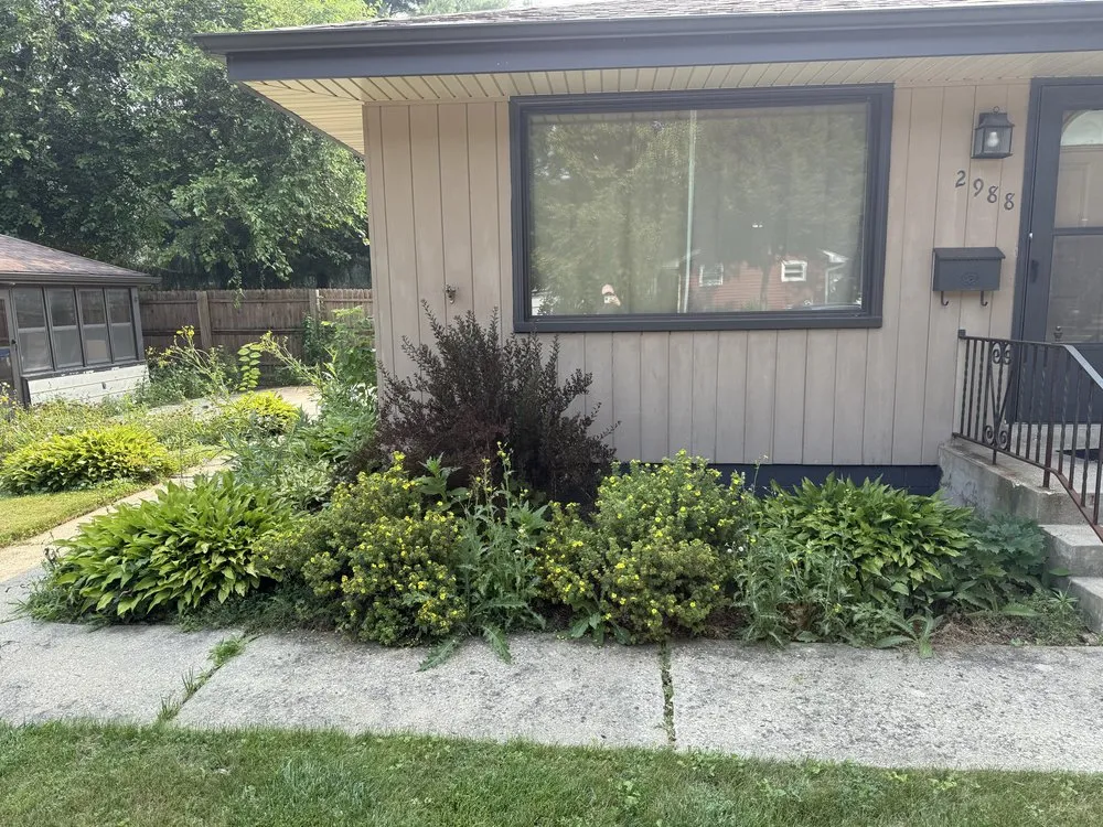 Expert lawn care service for year-round maintenance in Wauwatosa, WI by Moss & Petal Lawn Care