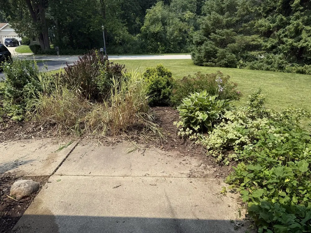 Custom outdoor landscaping experts serving Wauwatosa, WI - Moss & Petal Lawn Care