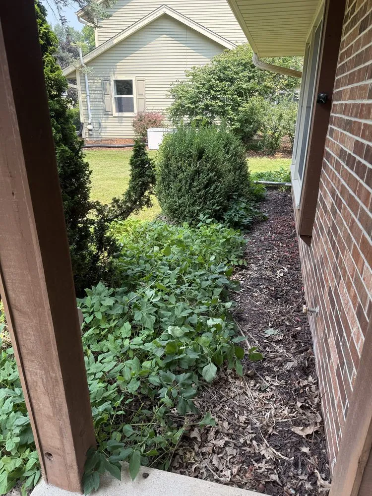 Affordable landscaping services near you across Wauwatosa, WI - Moss & Petal Lawn Care