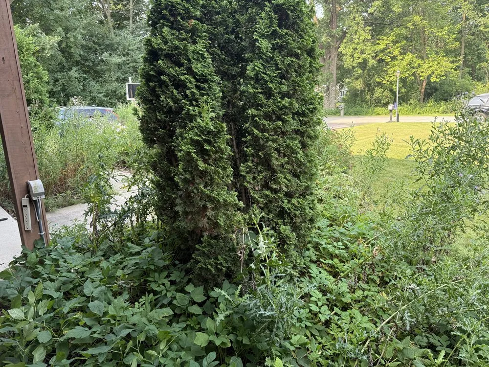 Custom landscaping services in Wauwatosa, WI - Moss & Petal Lawn Care