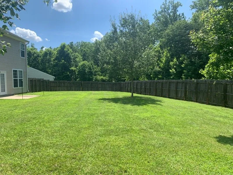 Custom landscape design experts serving Greensboro, NC - Moss Dynasty